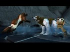 Screenshots de A la Croisée des Mondes : La Boussole d'or sur Wii