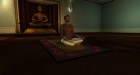 Screenshots de Yoga sur Wii