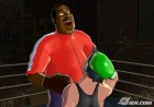 Screenshots de Doc Louis's Punch-Out!! sur Wii