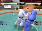 Screenshots de THE Judo sur Wii