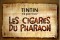 vignette d'article