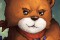 Bearnard